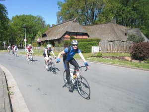 RTF Celle Rocky 80